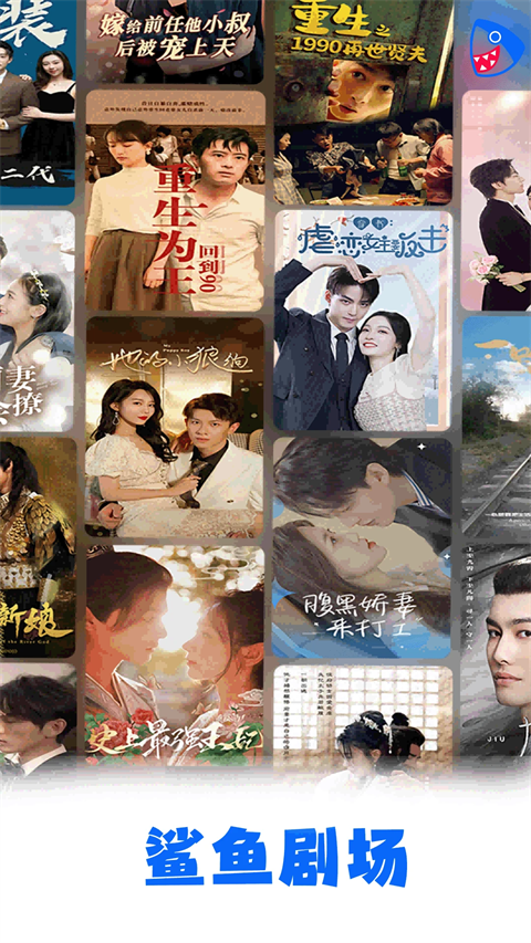 趴在老式留声机上的缅因猫侧颜壁纸